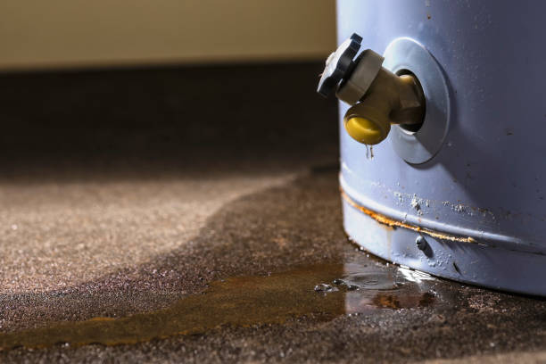 Best 24-hour water damage restoration  in Spring Valley, NV