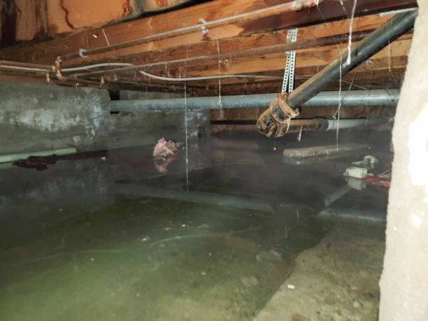 Best Fire Damage Restoration  in Spring Valley, NV