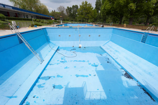 Best Mold removal after water damage  in Spring Valley, NV