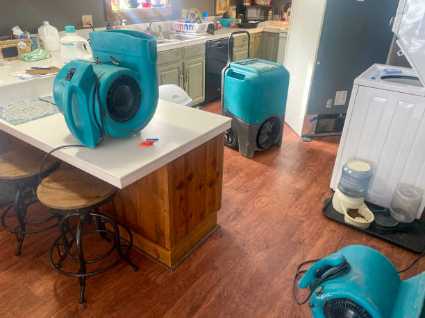Best Carpet water damage restoration  in Spring Valley, NV