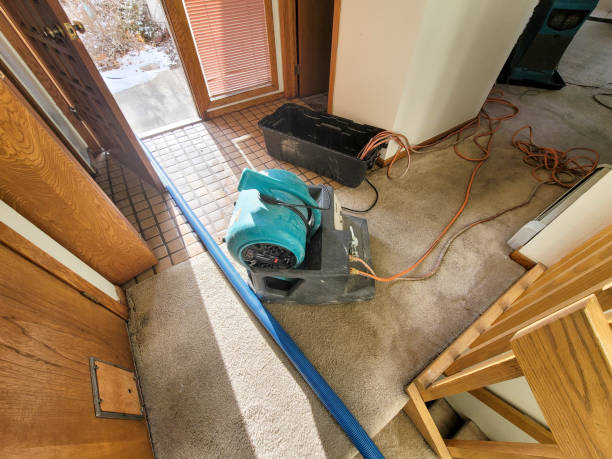 Best Flooded house restoration  in Spring Valley, NV