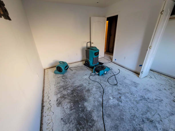 Water damage restoration mold remediation in NV