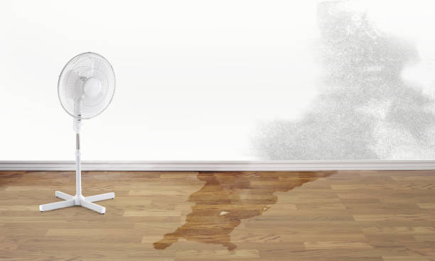 Best Flood restoration services  in Spring Valley, NV