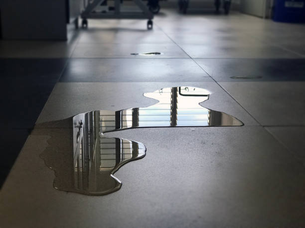 Best Water damage restoration near me  in Spring Valley, NV