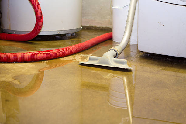 Sewage cleanup and water damage restoration in NV