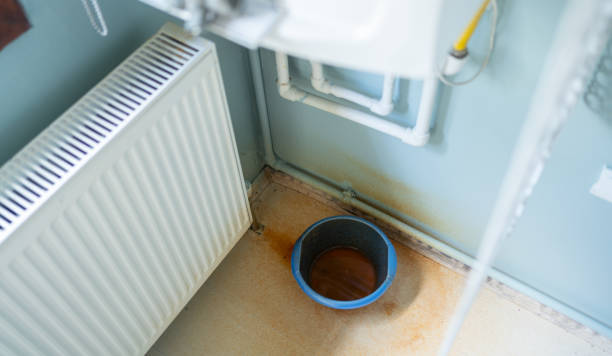 Best Basement water damage restoration  in Spring Valley, NV